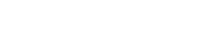 Profitable Project Plan