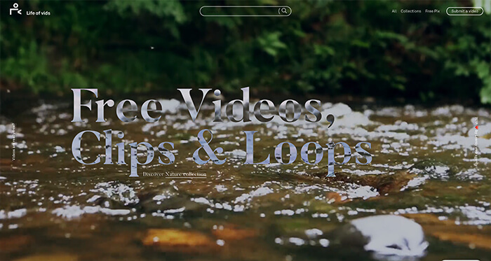 Free Stock Video Resource: Life Of Vids
