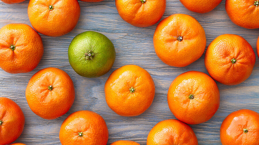 A lime in a sea of oranges — not in niche