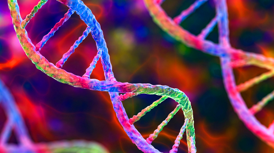 A close up view of colorful strands of brand DNA